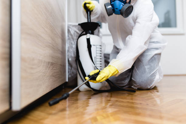 Best Affordable Pest Control Services  in Desoto Lakes, FL