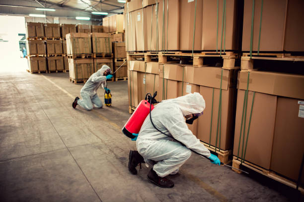 Trusted Desoto Lakes, FL Pest Control Experts