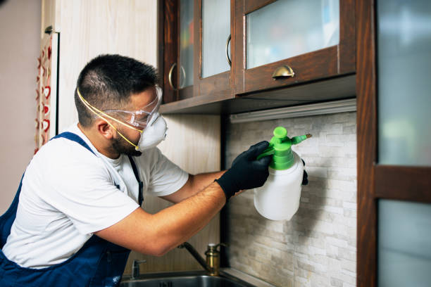 Best Residential Pest Control  in Desoto Lakes, FL