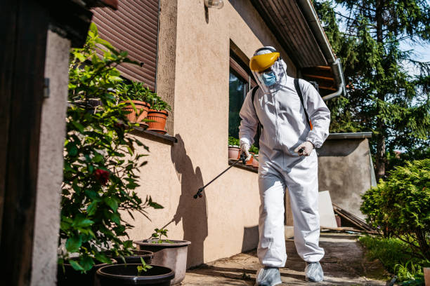 Best Bed Bug Extermination  in Desoto Lakes, FL