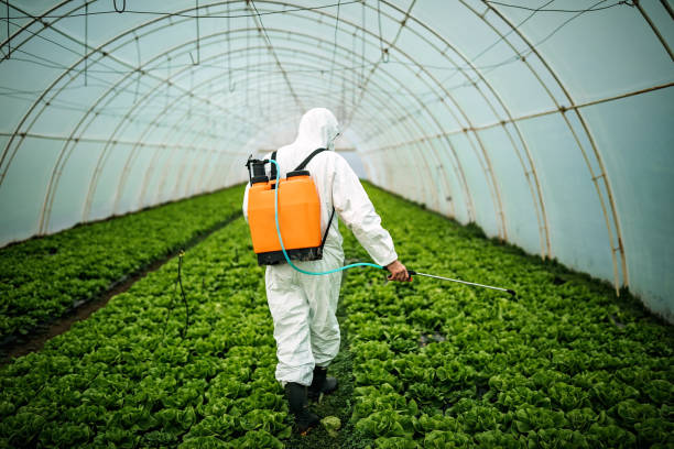 Pest Control Cost in Desoto Lakes, FL