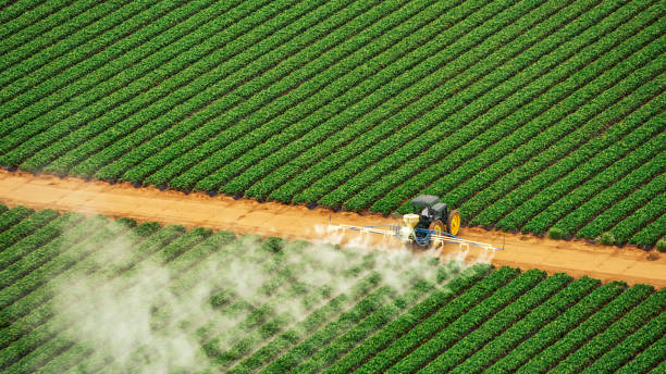 Pest Prevention Services in Desoto Lakes, FL