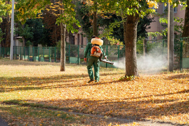 Best Termite Control Services  in Desoto Lakes, FL
