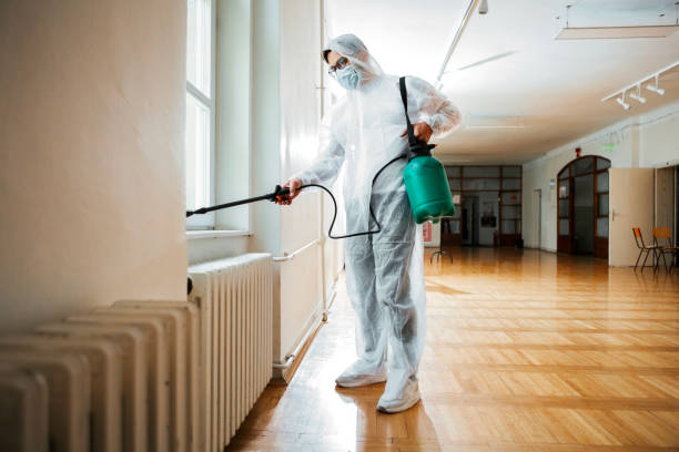 Best Local Pest Control Services  in Desoto Lakes, FL