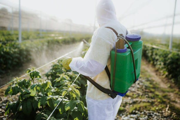 Best Pest Inspection Near Me  in Desoto Lakes, FL